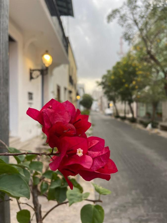 Vbermor Hotel Santo Domingo Eksteriør bilde